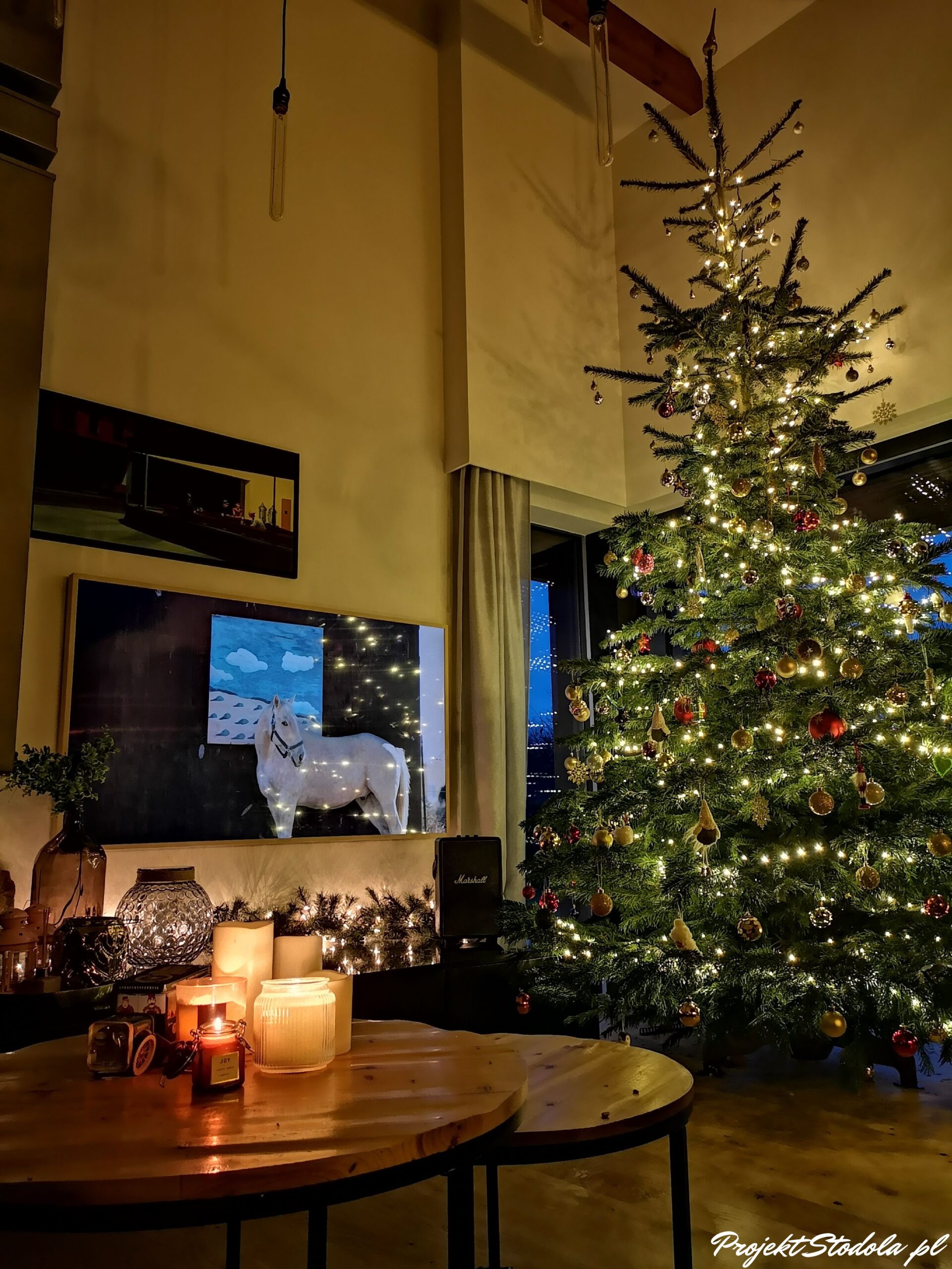 choinka. wysoki salon