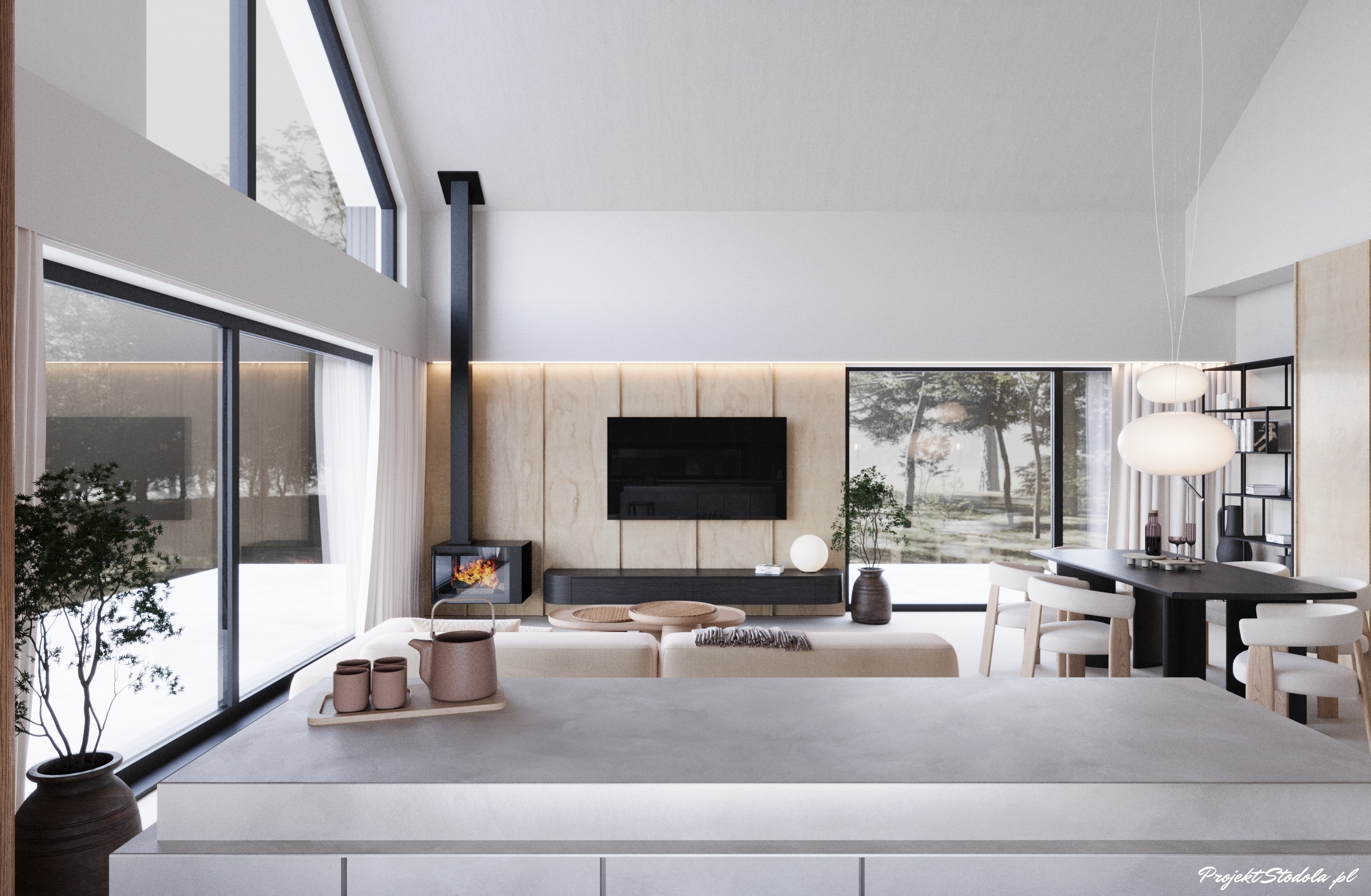 Projekt Stodoła Smart + Solo salon widok bok