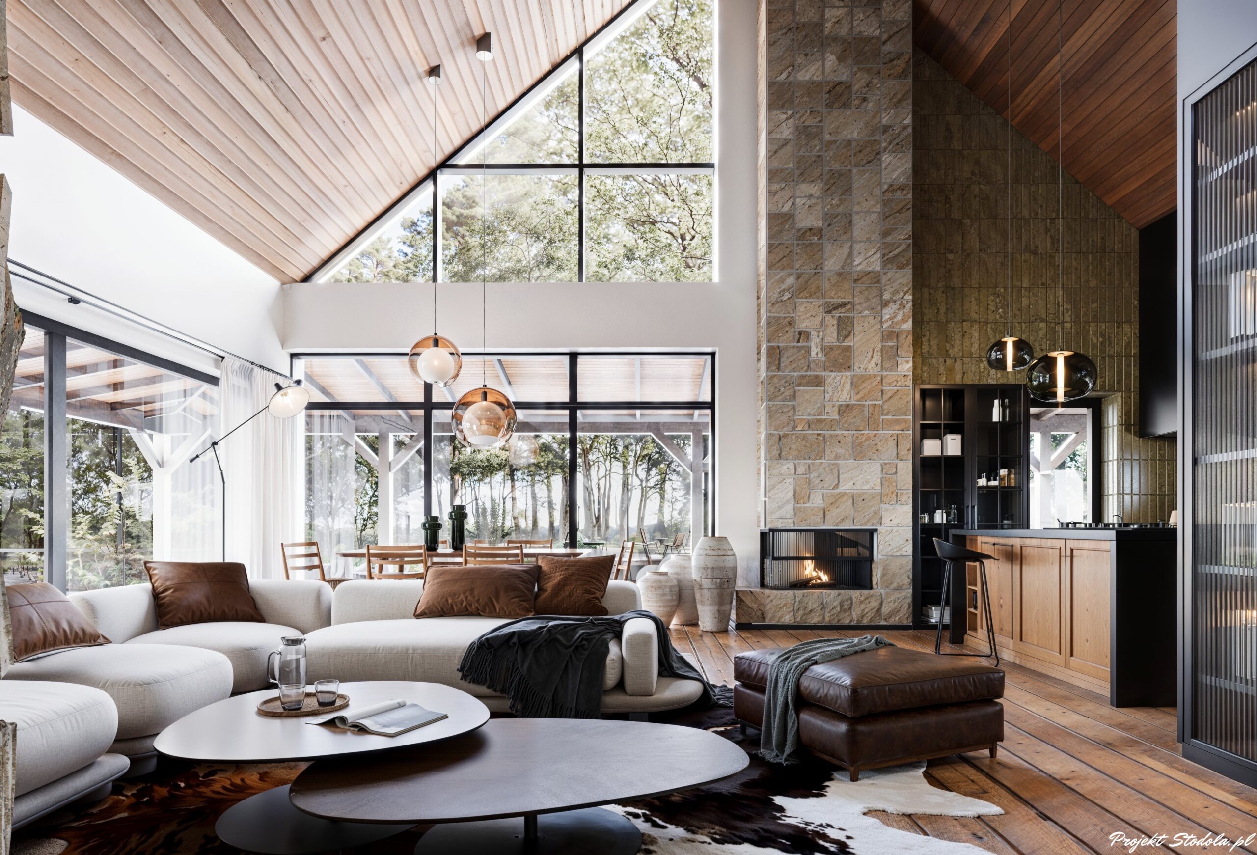 Modern FArmhouse salon z antresolą podstawa