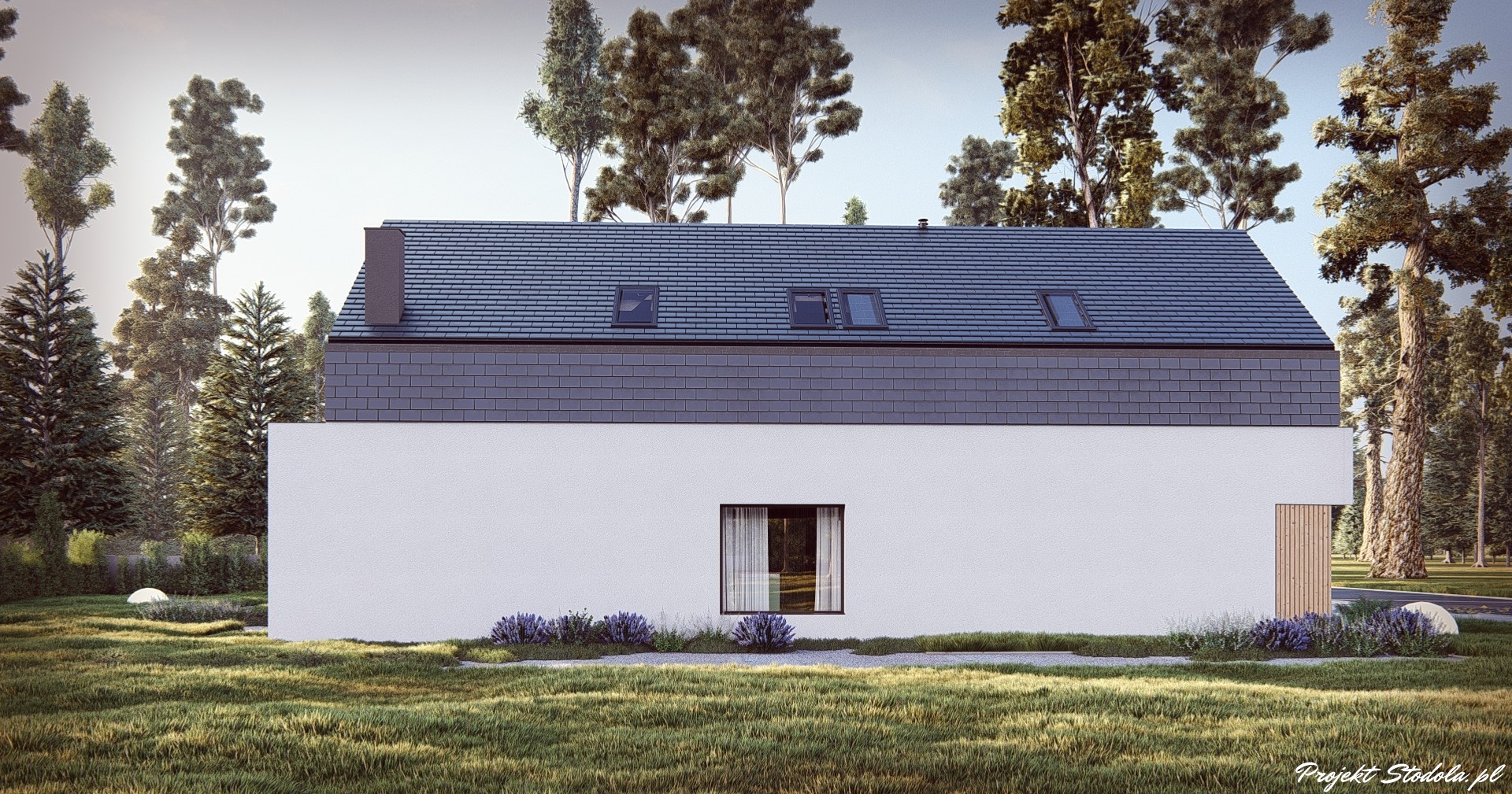 Projekt Stodoła Comfort + Elewacja boczna 2